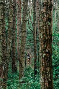 BIB: 
                            <button type="button" onclick="openModal(25235625)" class="btn btn-primary btn-sm float-right btn-popup" data-toggle="modal" data-target=".modal-high-quality">
                        <i class="fas fa-shopping-cart"></i> Add to Cart
                    </button>
                                            <button type="button" onclick="isThisMe(25235625, true)" class="btn btn-success btn-sm float-right btn-popup btn-isme hidden" data-toggle="tooltip" data-placement="bottom" title="นี่คือรูปของคุณใช่ไหม คลิกที่นี่เพื่อเอาเข้าอัลบั้ม">
                        <i class="fas fa-plus"></i> Add to album
                    </button>
                    <button type="button" onclick="isThisMe(25235625, false)" class="btn btn-warning btn-sm float-right btn-popup btn-isnotme hidden">
                        <i class="fas fa-ban"></i> Remove from album
                    </button>